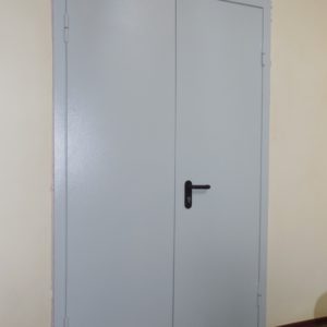 Противопожарная двупольная глухая дверь / серия FRM7294